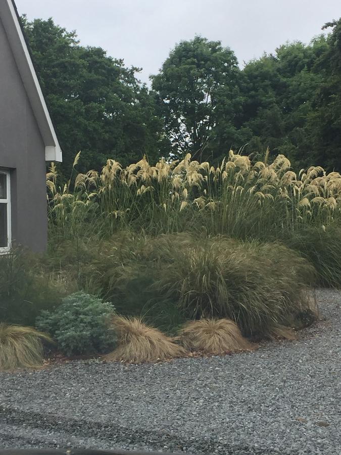 The Wendy Hoose Nairn Exterior photo